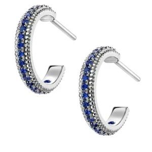 NWT 925 Sterling silver Hoop Earrings